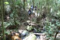 trekking-parque-sagui-manhumirim-243
